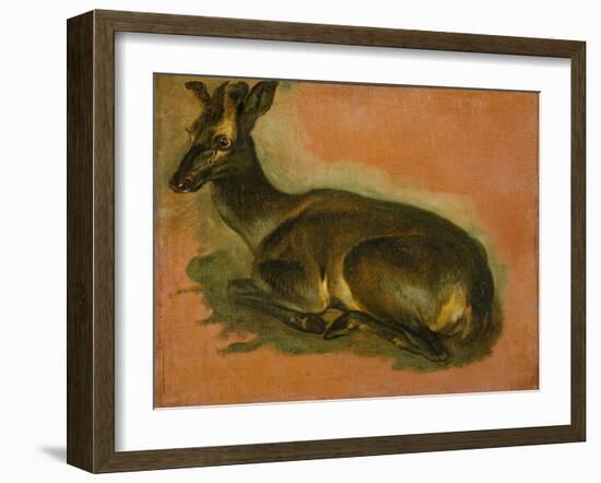 Many of Boels sketches were used in the tapestries woven in Les Gobelins. Stag, lying down.-Pieter Boel-Framed Giclee Print