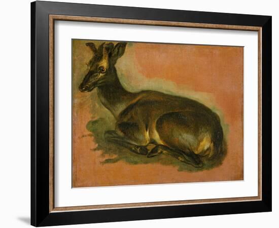 Many of Boels sketches were used in the tapestries woven in Les Gobelins. Stag, lying down.-Pieter Boel-Framed Giclee Print