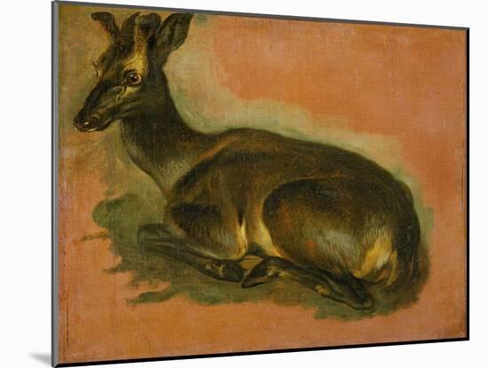 Many of Boels sketches were used in the tapestries woven in Les Gobelins. Stag, lying down.-Pieter Boel-Mounted Giclee Print