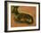 Many of Boels sketches were used in the tapestries woven in Les Gobelins. Stag, lying down.-Pieter Boel-Framed Giclee Print