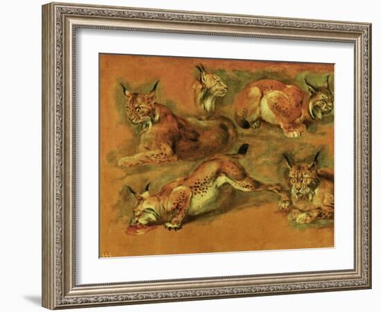 Many of Boels sketches were used in the tapestries woven in Les Gobelins. Studies of a lynx-Pieter Boel-Framed Giclee Print