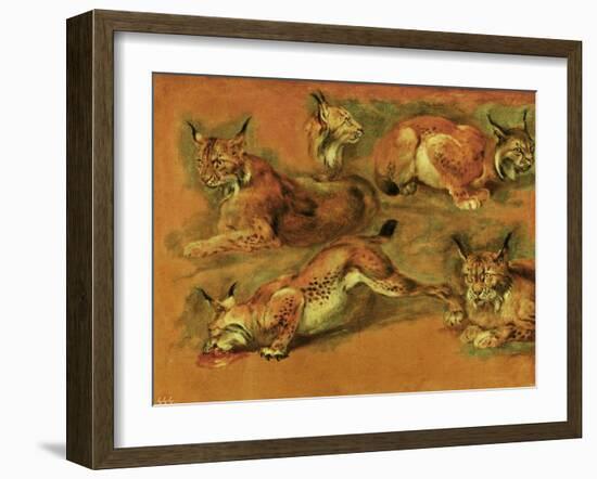 Many of Boels sketches were used in the tapestries woven in Les Gobelins. Studies of a lynx-Pieter Boel-Framed Giclee Print