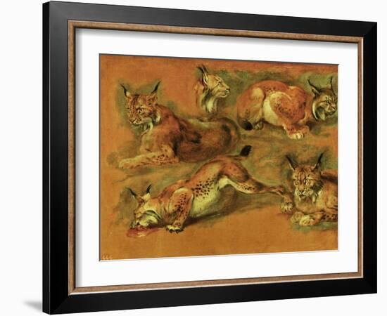 Many of Boels sketches were used in the tapestries woven in Les Gobelins. Studies of a lynx-Pieter Boel-Framed Giclee Print