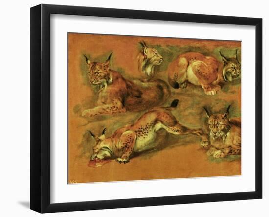 Many of Boels sketches were used in the tapestries woven in Les Gobelins. Studies of a lynx-Pieter Boel-Framed Giclee Print