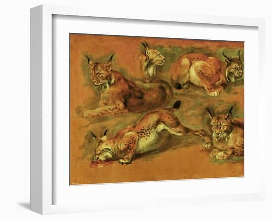 Many of Boels sketches were used in the tapestries woven in Les Gobelins. Studies of a lynx-Pieter Boel-Framed Giclee Print