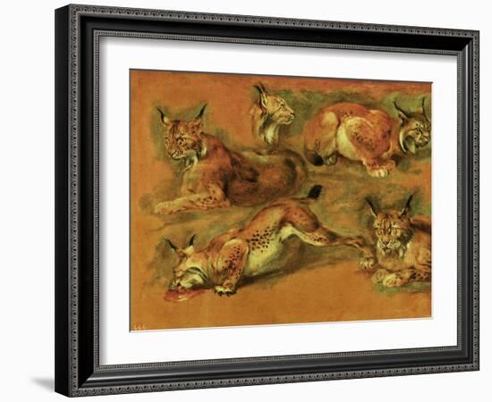 Many of Boels sketches were used in the tapestries woven in Les Gobelins. Studies of a lynx-Pieter Boel-Framed Giclee Print