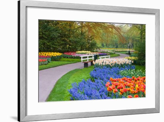 Many Spring Flowers in Many Colors-Colette2-Framed Photographic Print