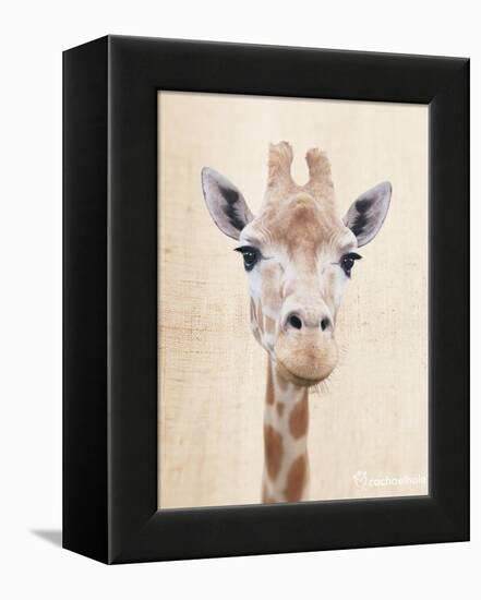 Manyara-Rachael Hale-Framed Stretched Canvas