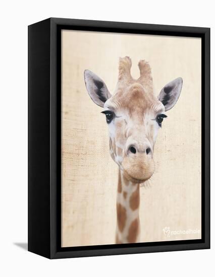 Manyara-Rachael Hale-Framed Stretched Canvas