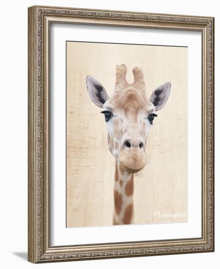 Manyara-Rachael Hale-Framed Art Print