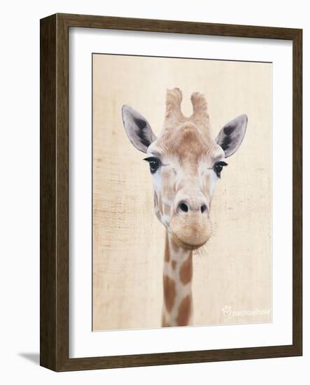 Manyara-Rachael Hale-Framed Art Print