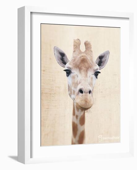 Manyara-Rachael Hale-Framed Art Print