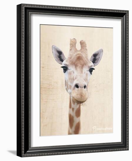 Manyara-Rachael Hale-Framed Art Print