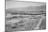 Manzanar from Guard Tower, Summer Heat-Ansel Adams-Mounted Art Print