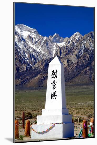 Manzanar Remembrance I-Douglas Taylor-Mounted Photo