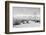 Manzanar street scene, spring, Manzanar Relocation Center, 1943-Ansel Adams-Framed Photographic Print