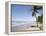 Manzanilla Beach, Trinidad, Caribbean-Diane Johnson-Framed Premier Image Canvas