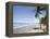 Manzanilla Beach, Trinidad, Caribbean-Diane Johnson-Framed Premier Image Canvas