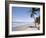 Manzanilla Beach, Trinidad, Caribbean-Diane Johnson-Framed Photographic Print