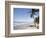 Manzanilla Beach, Trinidad, Caribbean-Diane Johnson-Framed Photographic Print