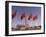 Mao Tse-Tung Memorial and Monument to the People's Heroes, Tiananmen Square, Beijing, China-Adam Tall-Framed Photographic Print