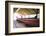 Maori Boat, Waitangi Treaty Grounds, Bay of Islands, Northland Region, North Island-Matthew Williams-Ellis-Framed Photographic Print