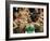 Maori Poi Dancers, Waitangi, North Island, New Zealand-Julia Thorne-Framed Photographic Print