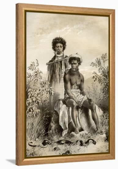 Maoris and Carpet Snake, New Zealand, 1879-McFarlane and Erskine-Framed Premier Image Canvas