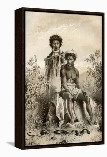Maoris and Carpet Snake, New Zealand, 1879-McFarlane and Erskine-Framed Premier Image Canvas