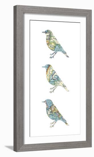 Map Birds-Sasha Blake-Framed Giclee Print