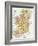 Map: Ireland, C1890-null-Framed Giclee Print