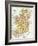 Map: Ireland, C1890-null-Framed Giclee Print