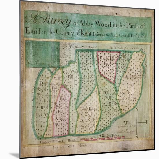 Map of Abbey Wood, part of Erith or Lesnes Manor on the eastern boundary of Woolwich, Kent, 1791-Anon-Mounted Giclee Print