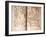 Map of Alba and Asti Neighborhood, Piedmont Region-null-Framed Giclee Print