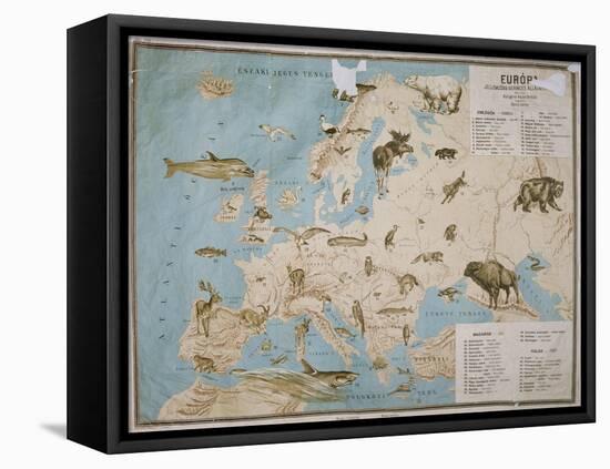 Map of Animals in Europe-Janos Balint-Framed Premier Image Canvas