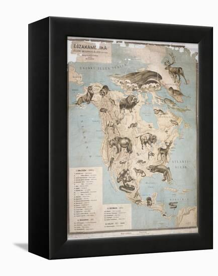 Map of Animals in North America-Janos Balint-Framed Premier Image Canvas