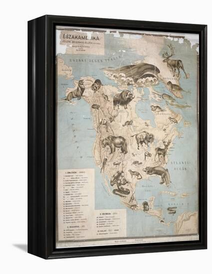 Map of Animals in North America-Janos Balint-Framed Premier Image Canvas