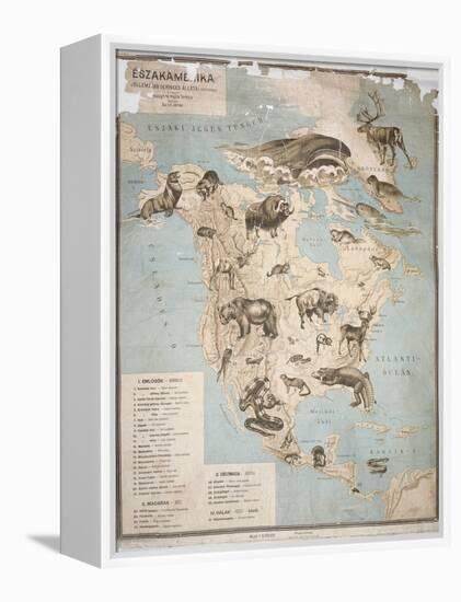 Map of Animals in North America-Janos Balint-Framed Premier Image Canvas