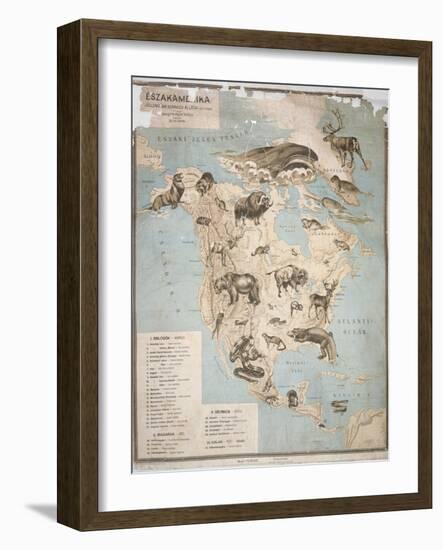 Map of Animals in North America-Janos Balint-Framed Giclee Print