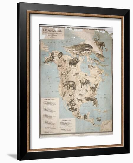 Map of Animals in North America-Janos Balint-Framed Giclee Print