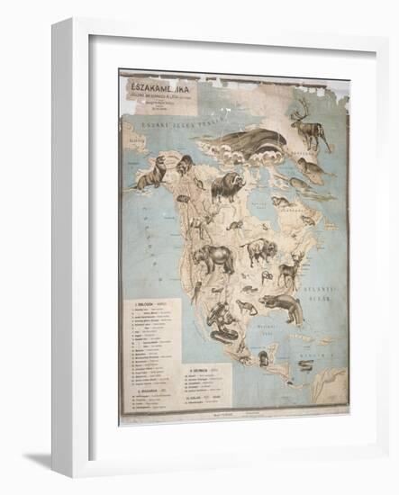 Map of Animals in North America-Janos Balint-Framed Giclee Print