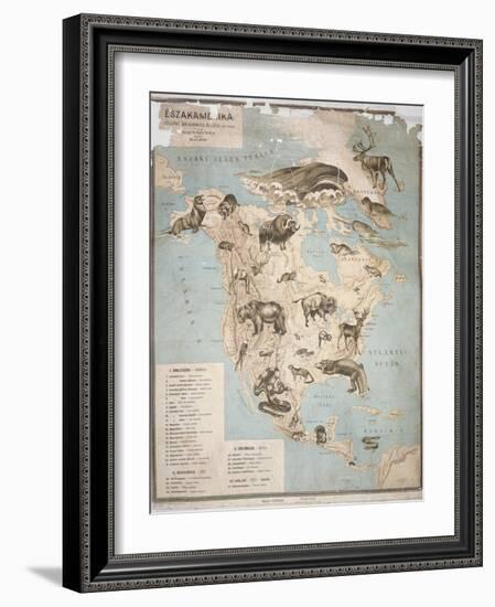 Map of Animals in North America-Janos Balint-Framed Giclee Print