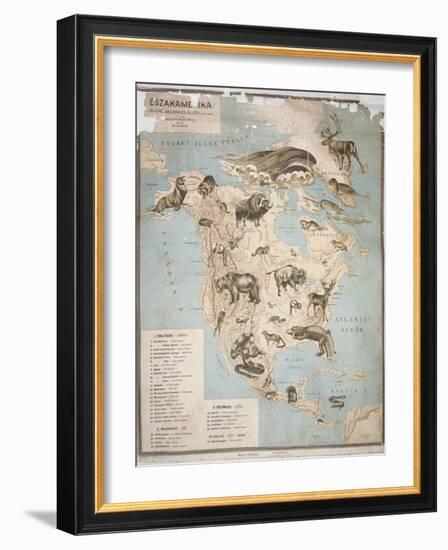 Map of Animals in North America-Janos Balint-Framed Giclee Print