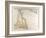 Map of Australia, 1872-null-Framed Giclee Print