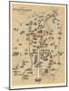 Map of Berlin, Published by Carl Glueck Verlag, Berlin, 1860-German School-Mounted Giclee Print
