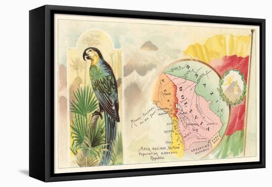 Map of Bolivia-null-Framed Stretched Canvas