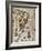 Map of Brazil, 1561-null-Framed Giclee Print