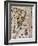 Map of Brazil, 1561-null-Framed Giclee Print