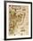 Map of Brazil, from Miller Atlas by Pedro and Jorge Reinel, Lopo Homen-null-Framed Giclee Print