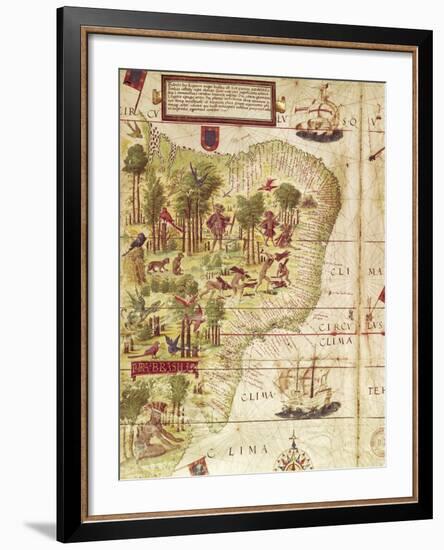 Map of Brazil, from Miller Atlas by Pedro and Jorge Reinel, Lopo Homen-null-Framed Giclee Print